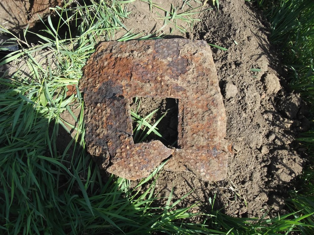 DSCF3882.JPG