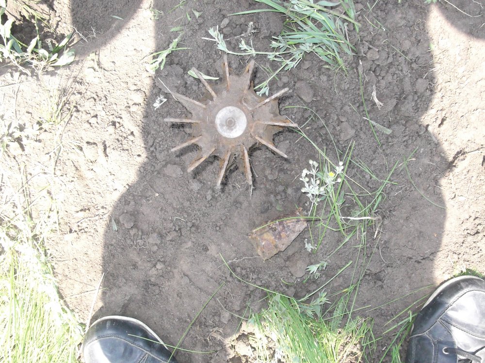 DSCF3933.JPG