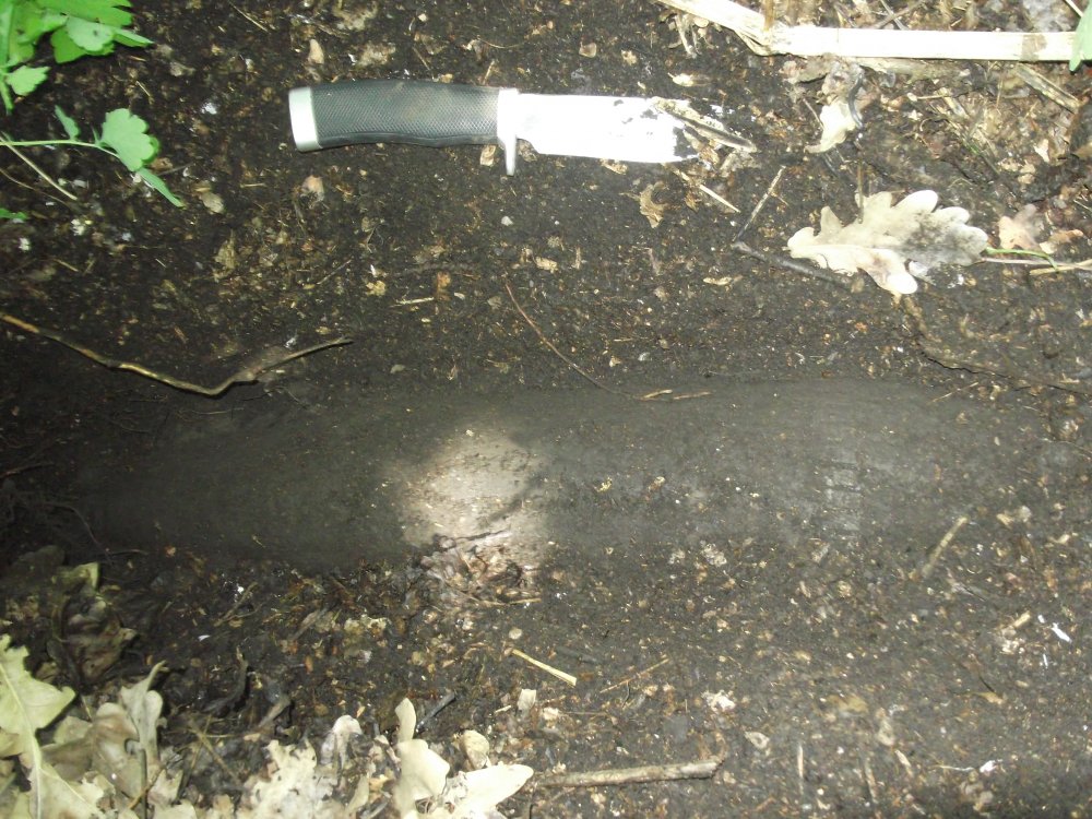DSCF3934.JPG