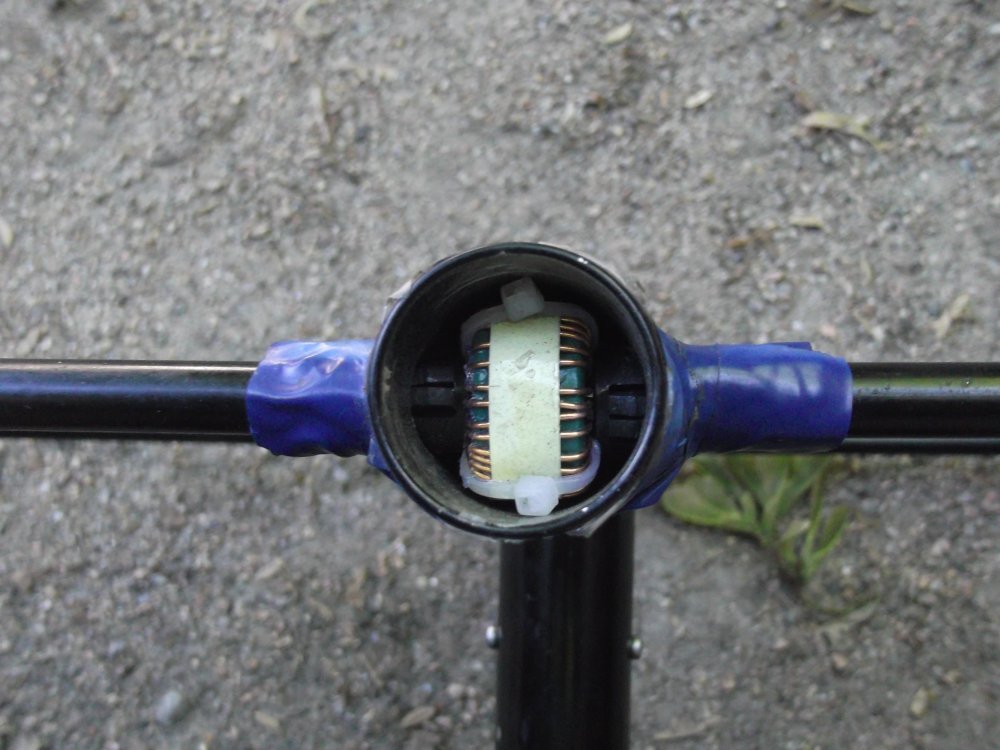 DSCF3953.JPG