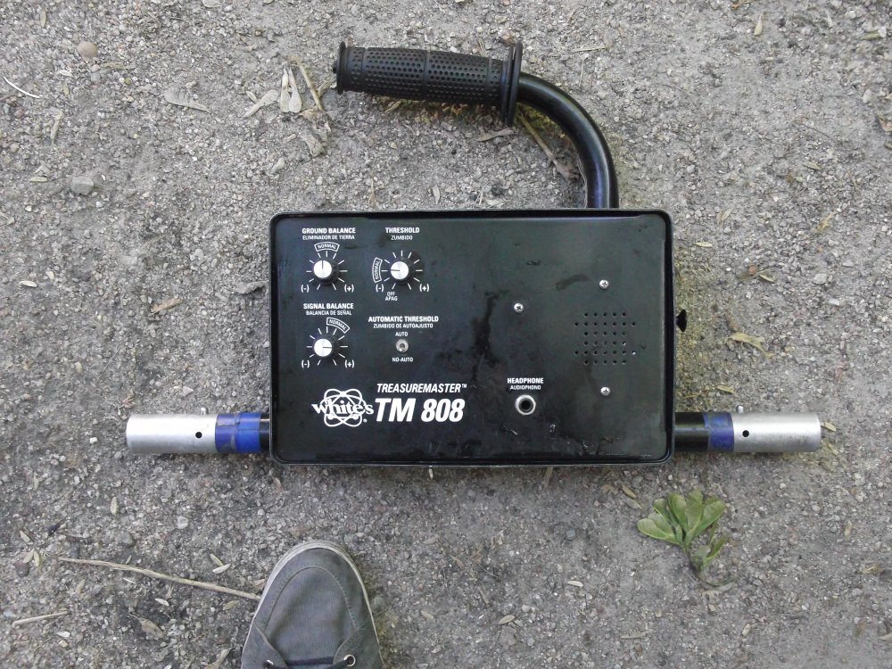 DSCF3954.JPG