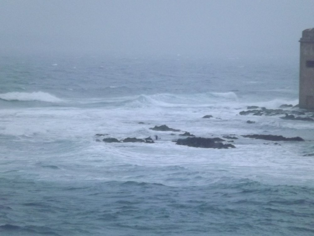 DSCF4011.JPG