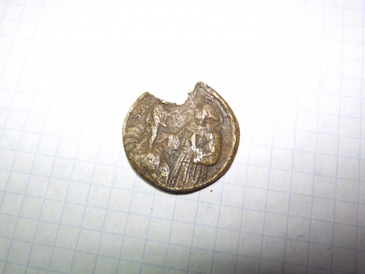 DSCF4120.JPG