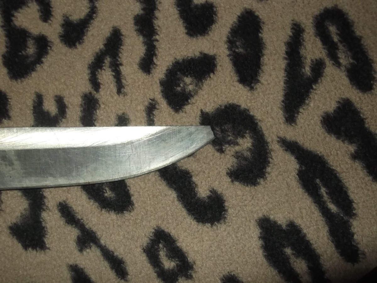 DSCF4674.JPG