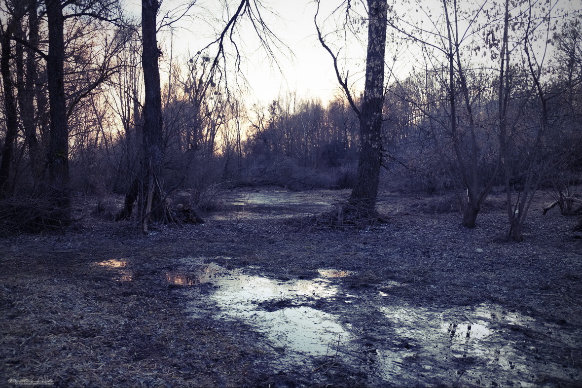 DSCF4747.JPG