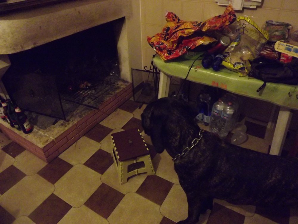 DSCF5301.JPG