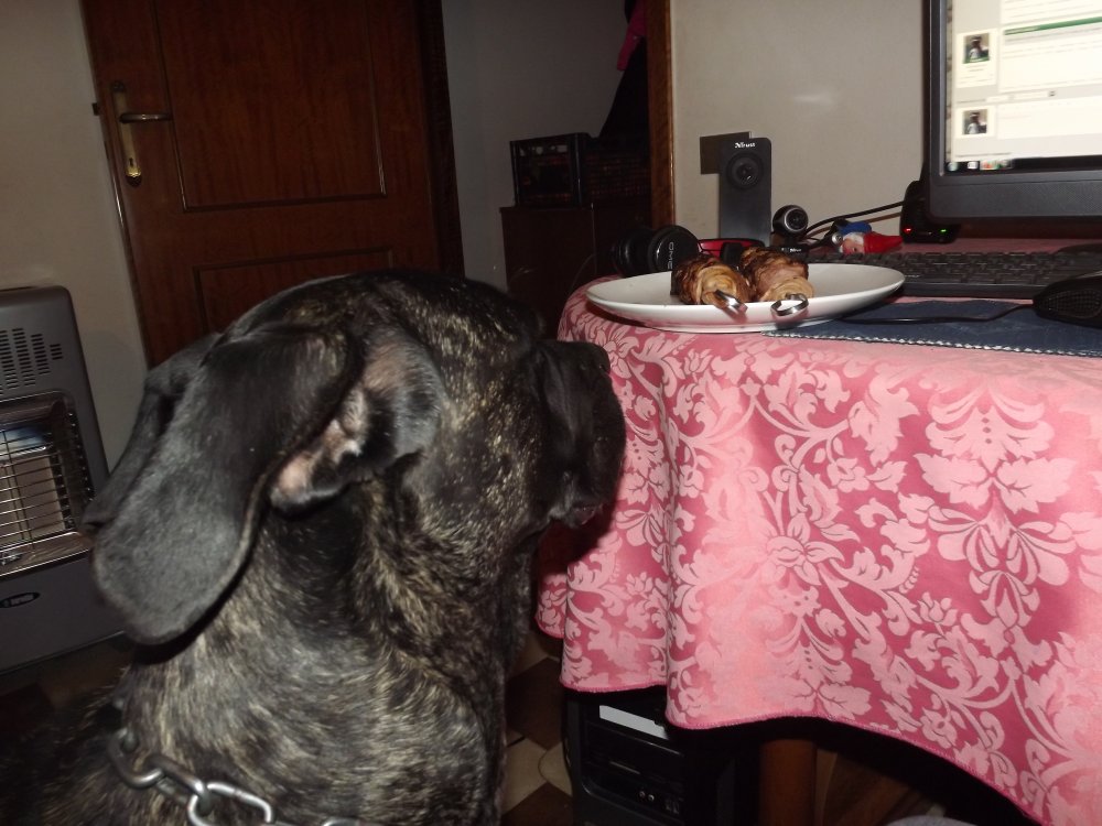 DSCF5308.JPG