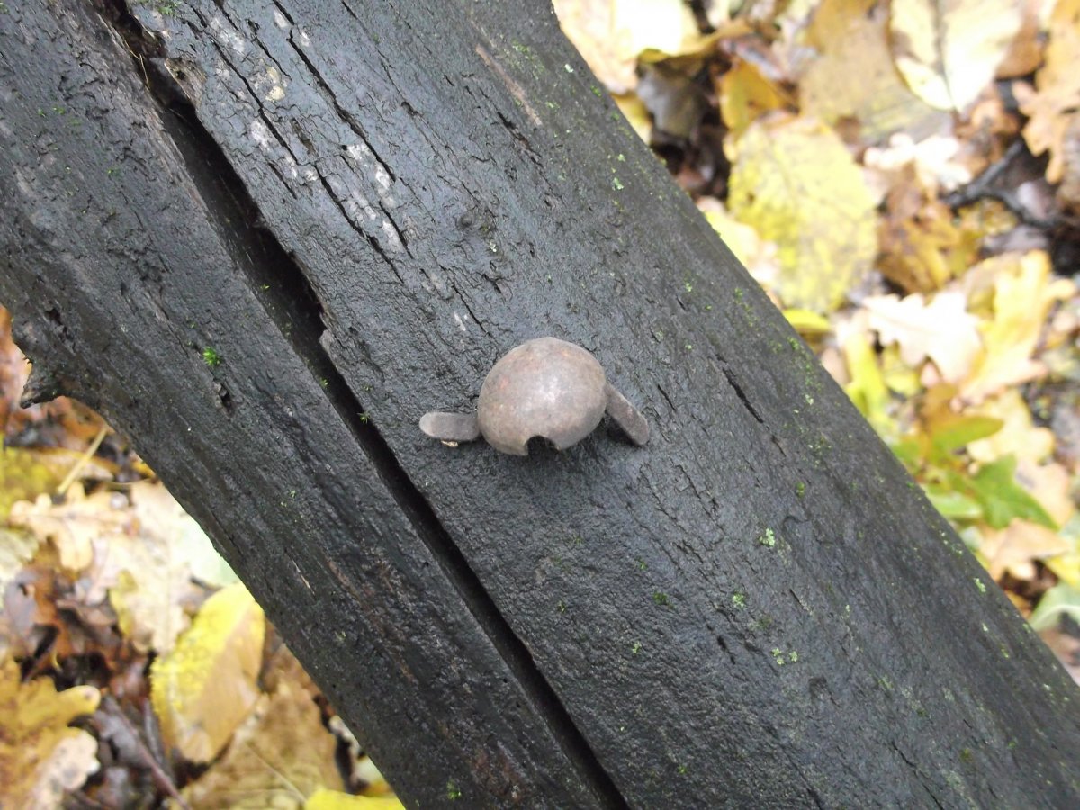 DSCF5370.JPG