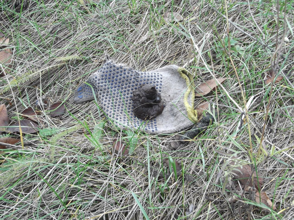 DSCF5393.JPG