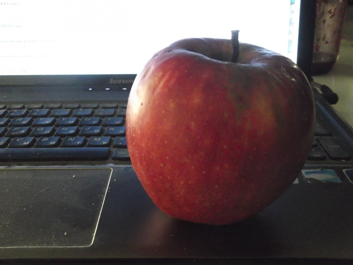 DSCF5419.JPG