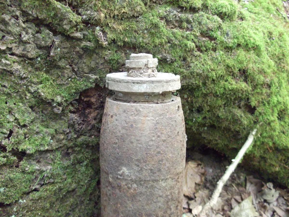 DSCF5422.JPG
