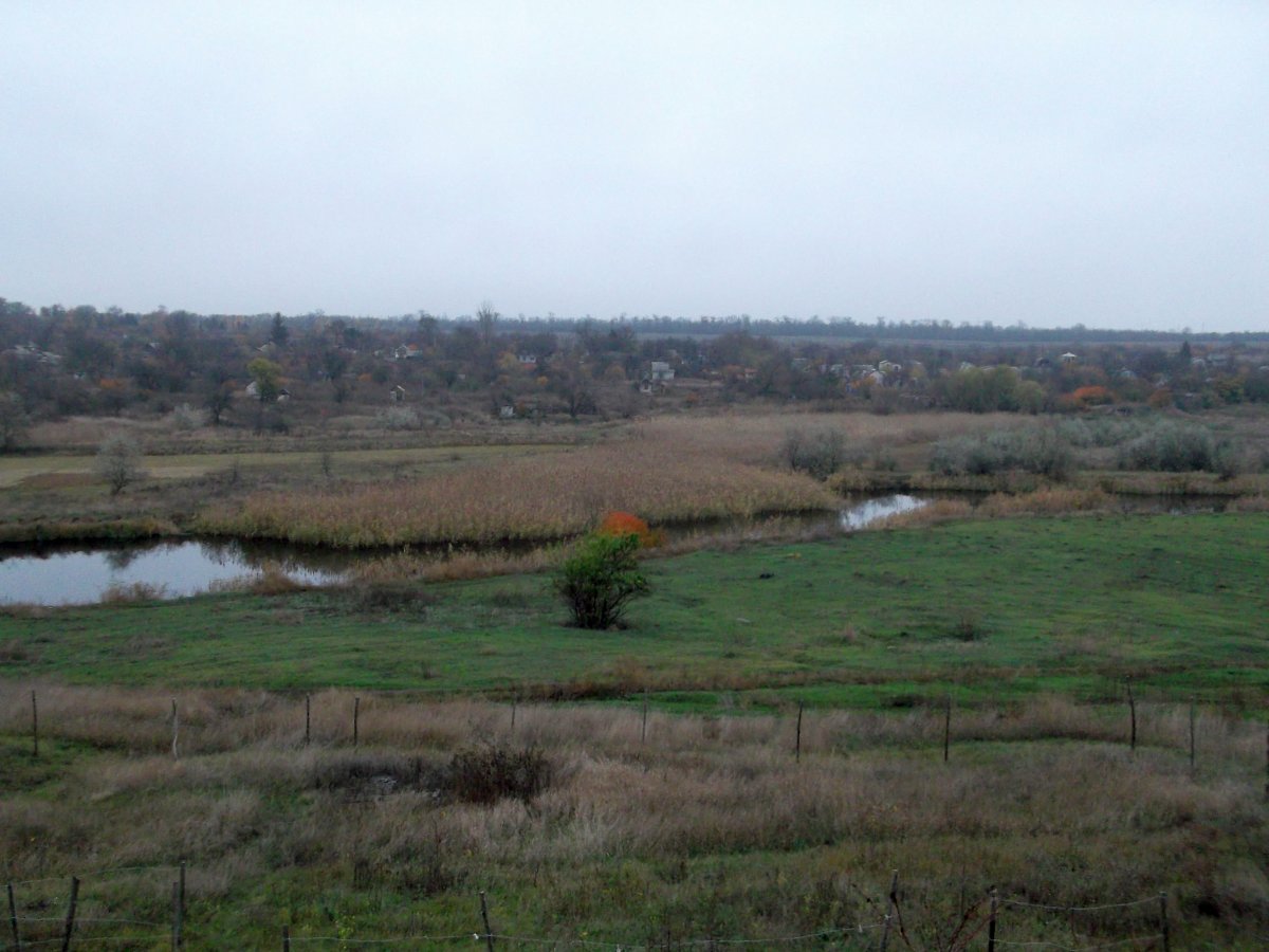 DSCF5433.JPG