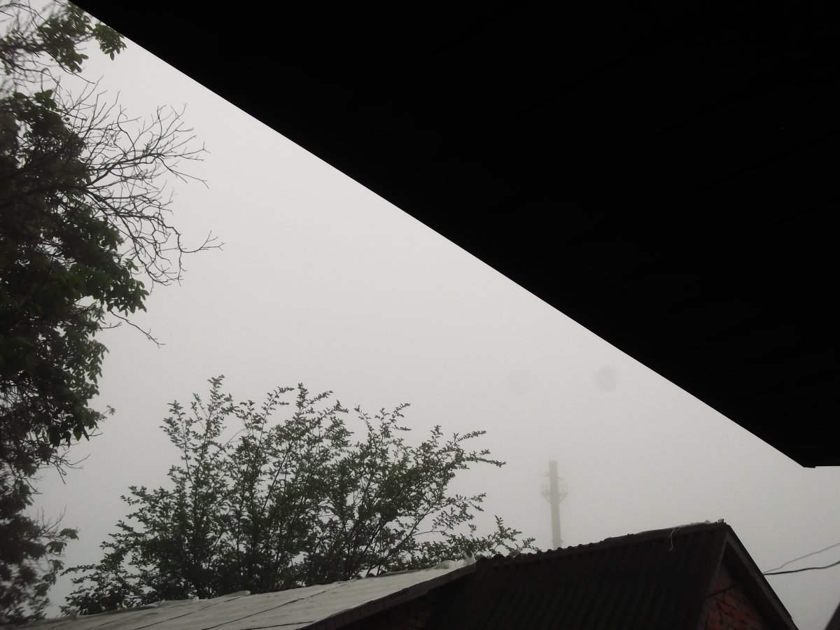 DSCF5436.JPG