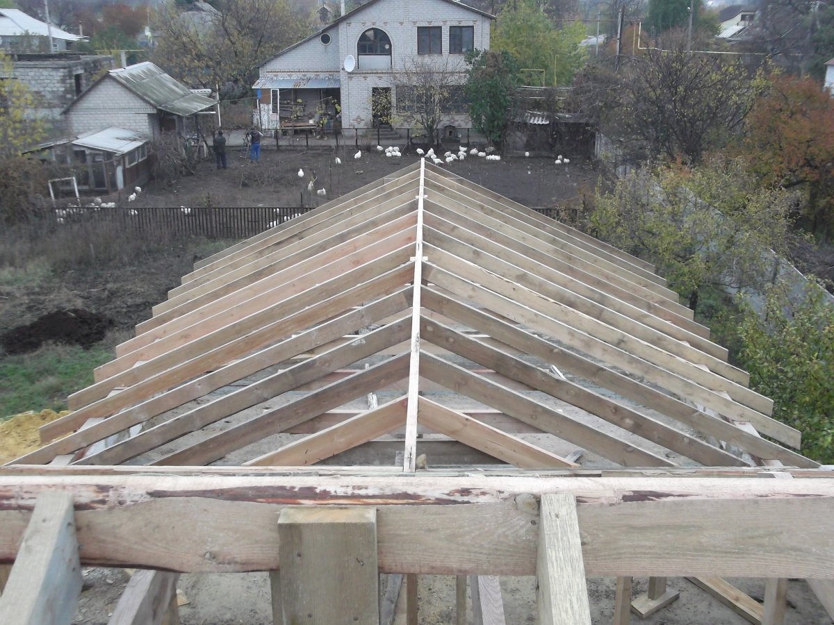 DSCF5438.JPG