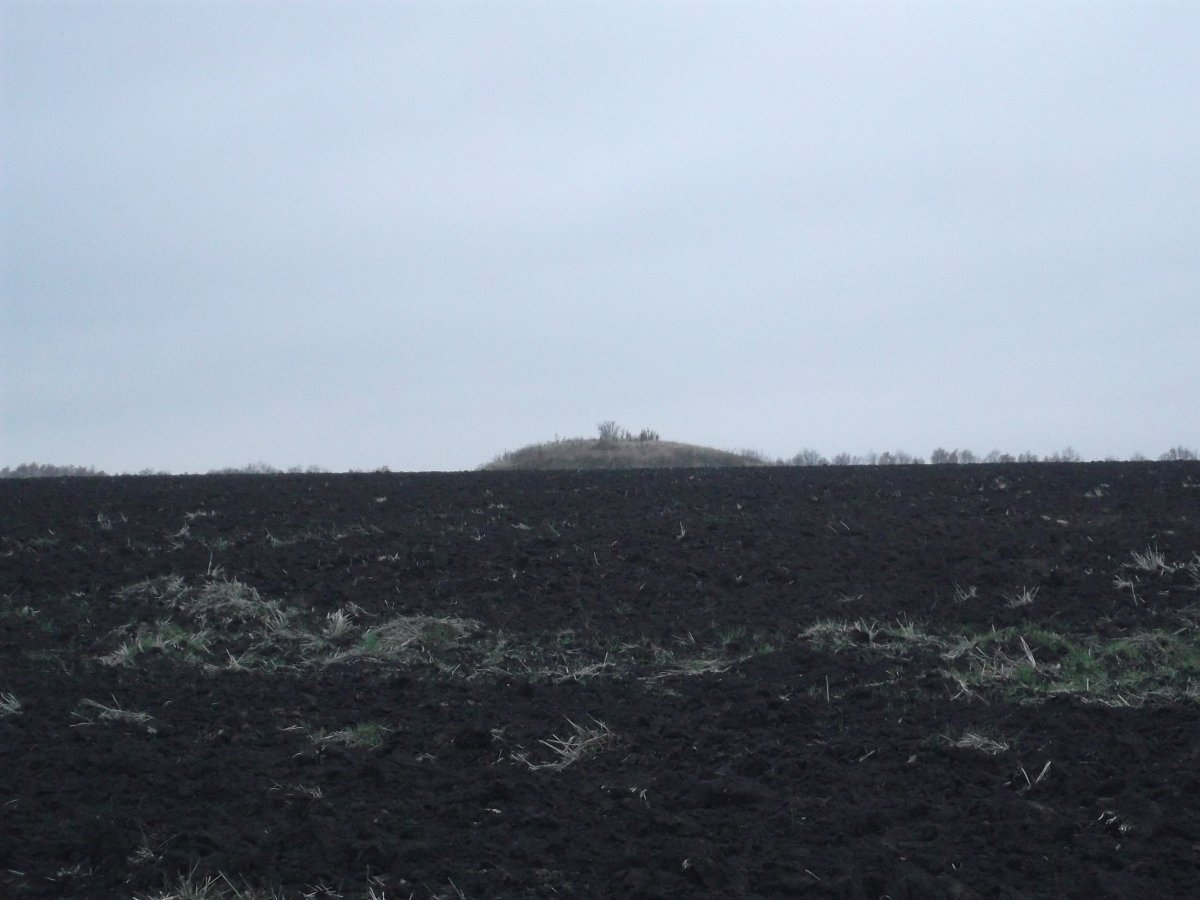 DSCF5475.JPG