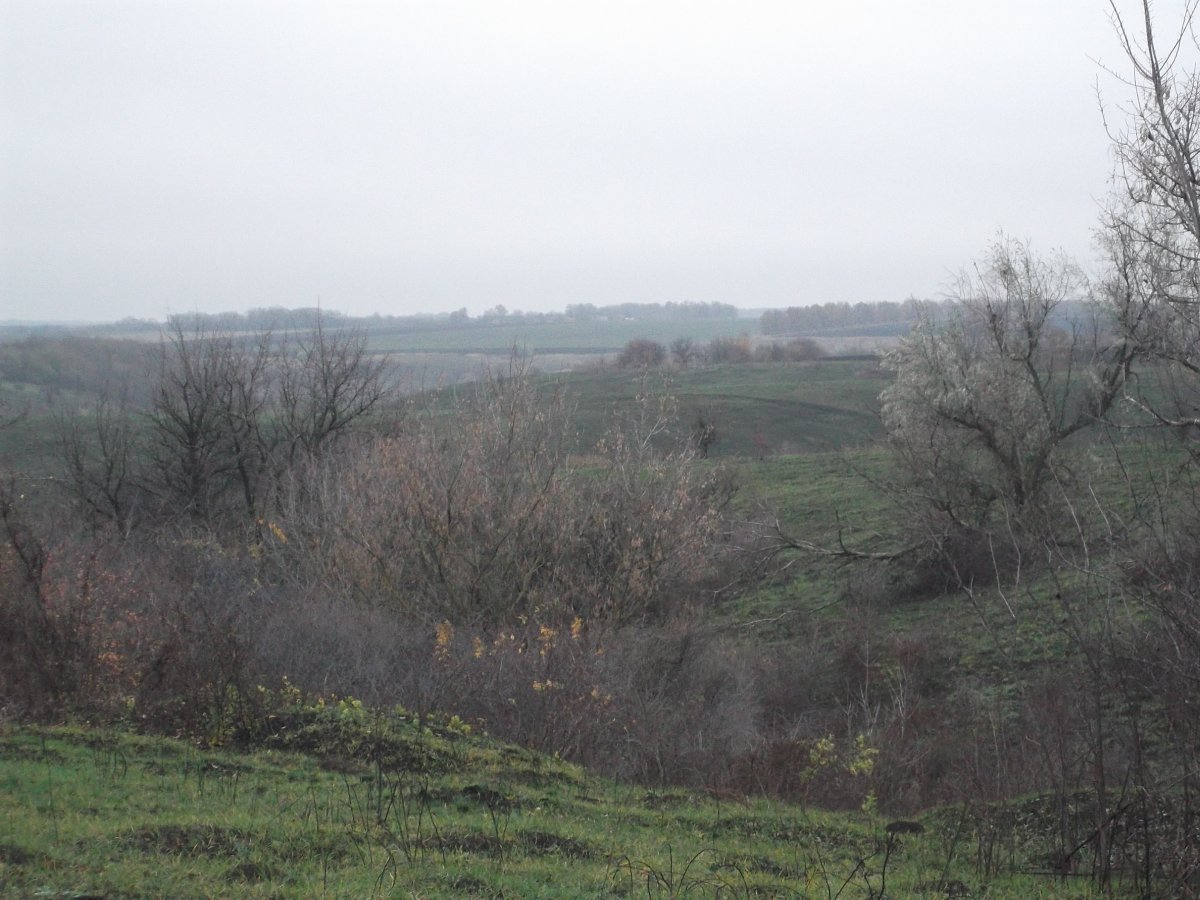 DSCF5476.JPG