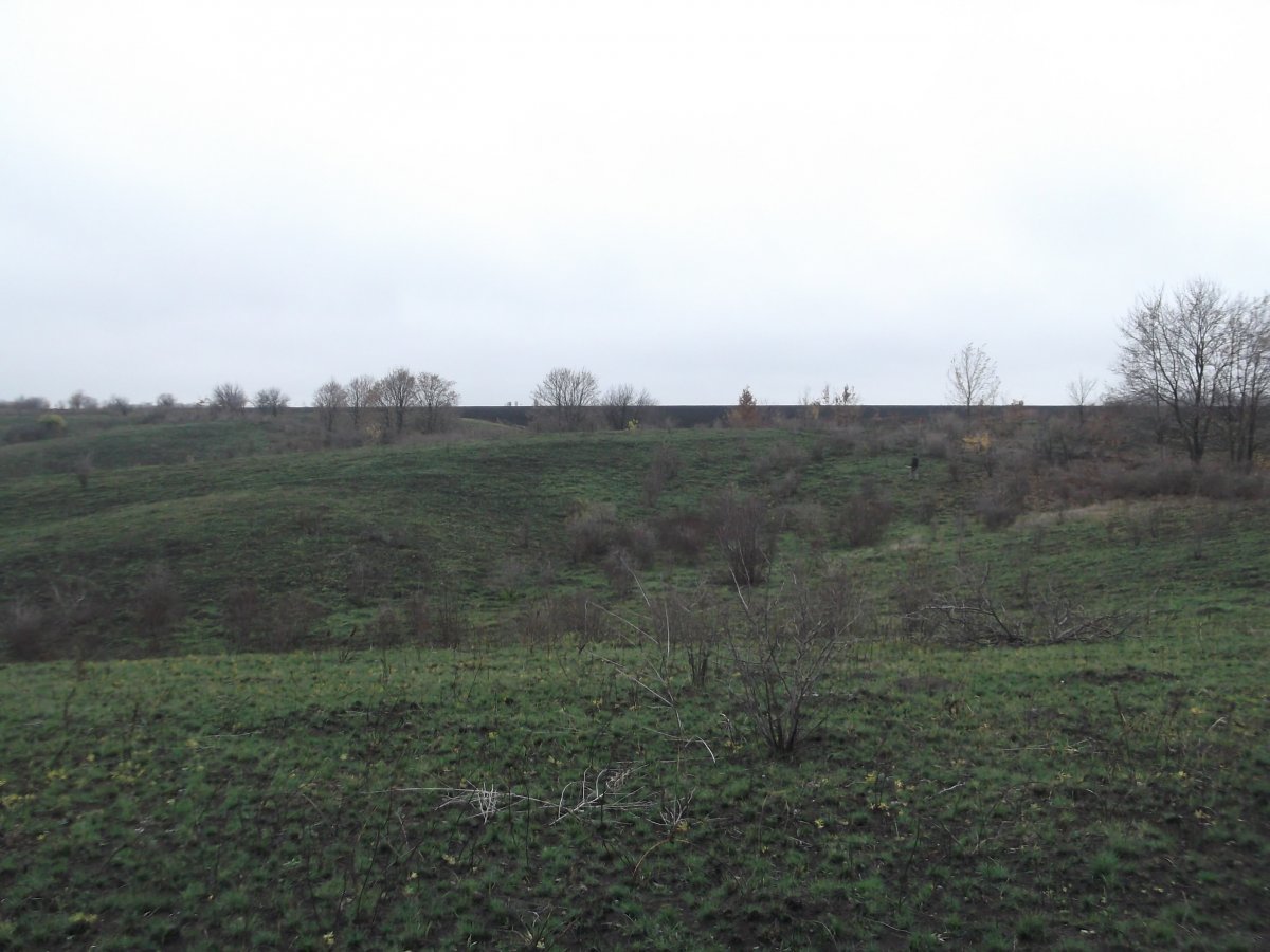 DSCF5478.JPG