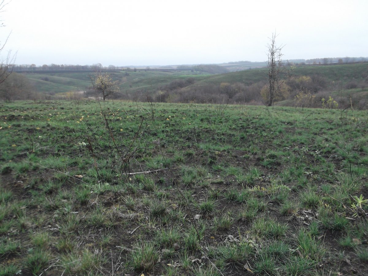 DSCF5479.JPG
