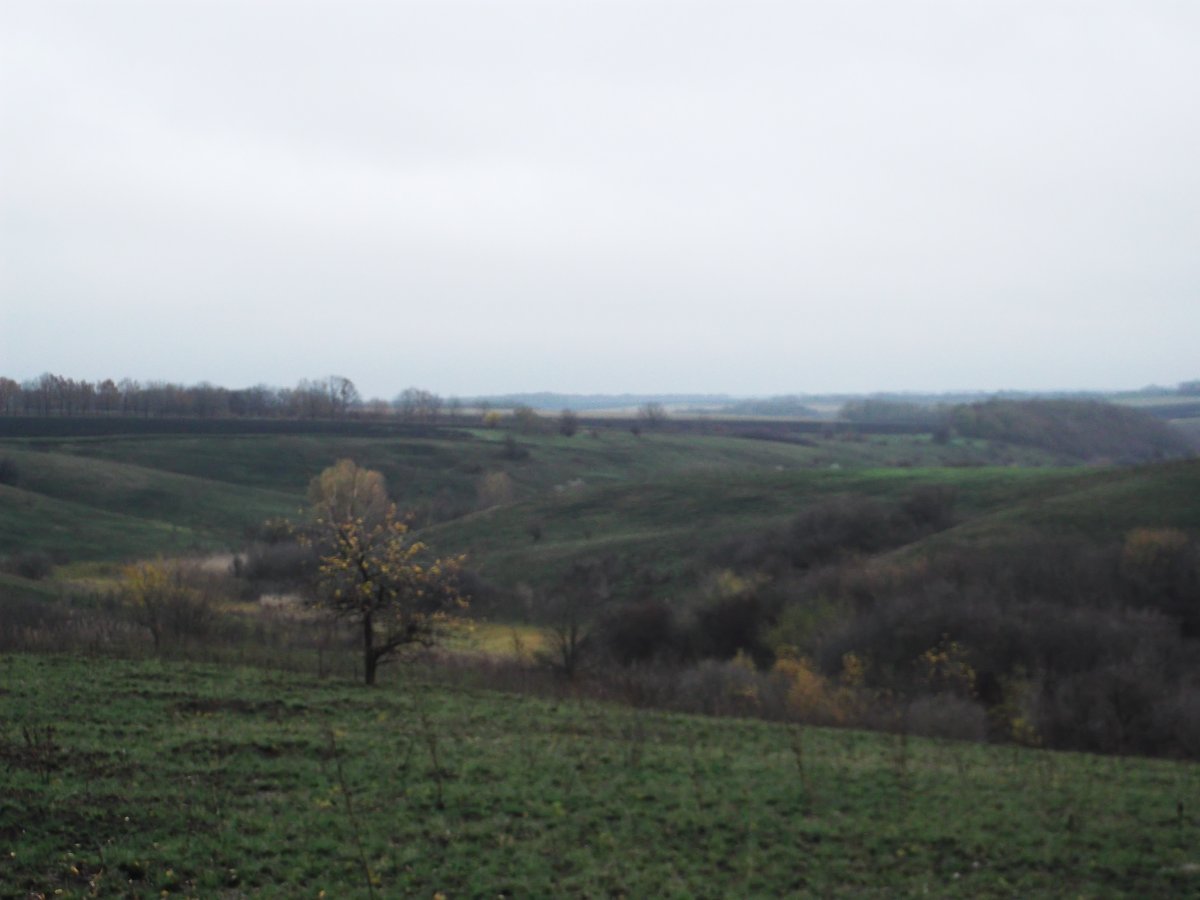 DSCF5480.JPG