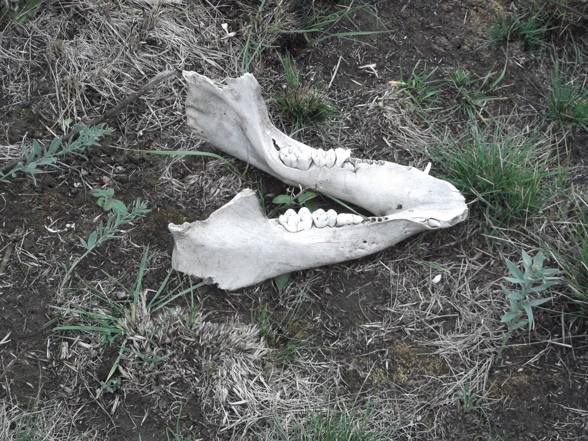 DSCF5482.JPG