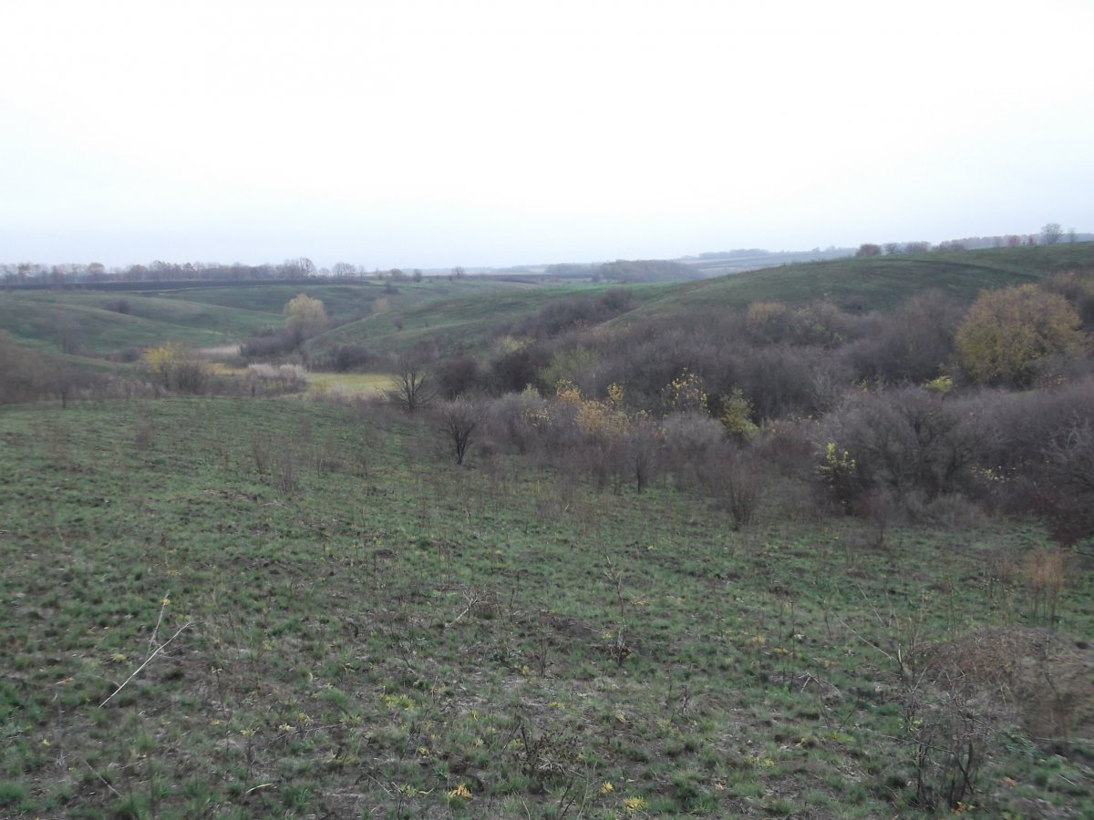 DSCF5483.JPG