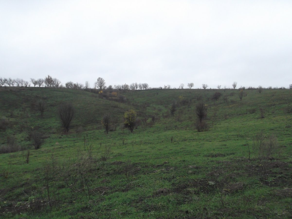 DSCF5487.JPG