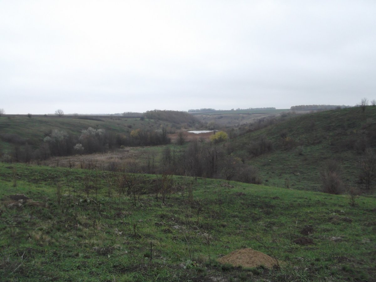 DSCF5488.JPG