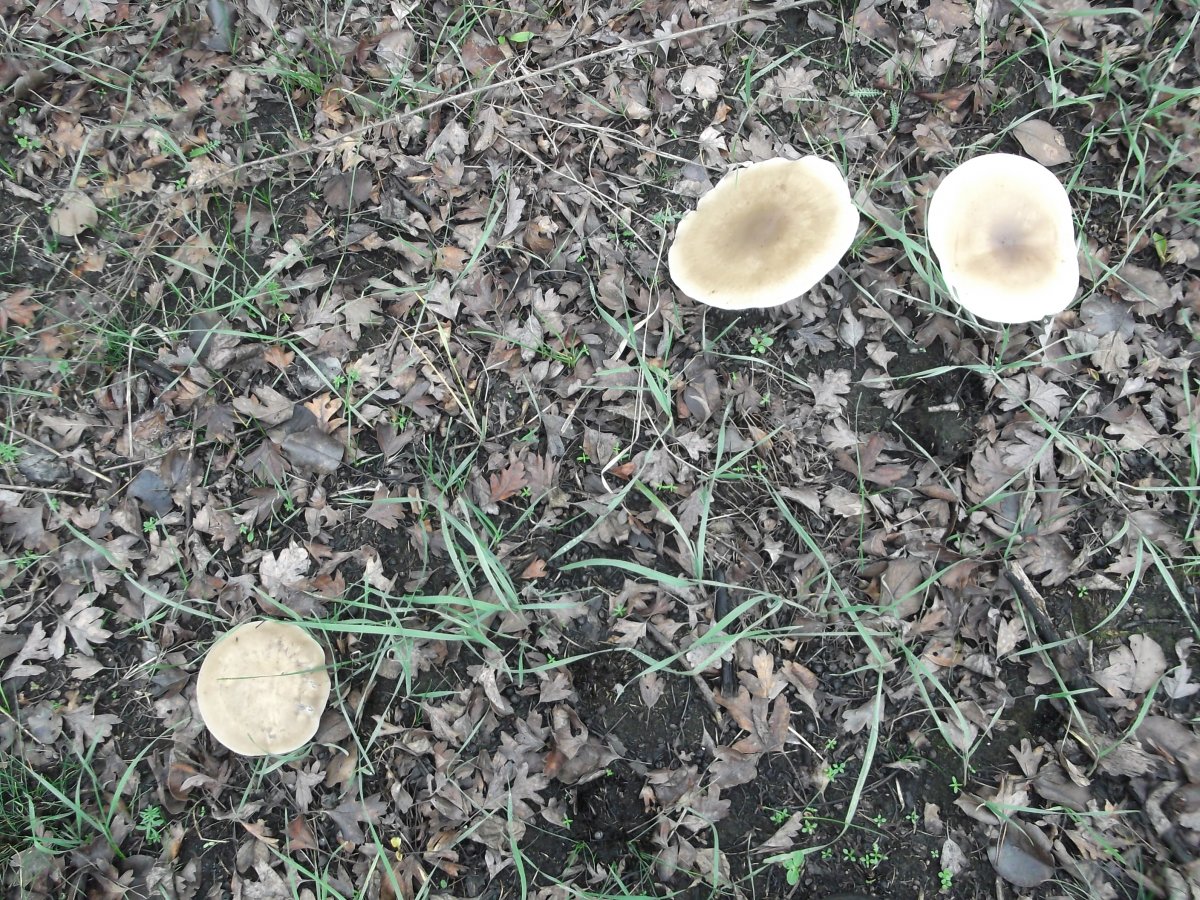 DSCF5498.JPG