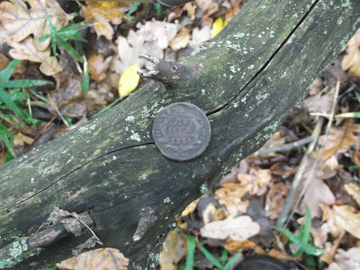 DSCF5503.JPG