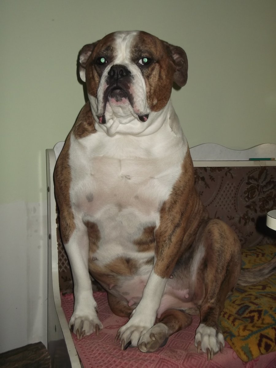 DSCF5538.JPG