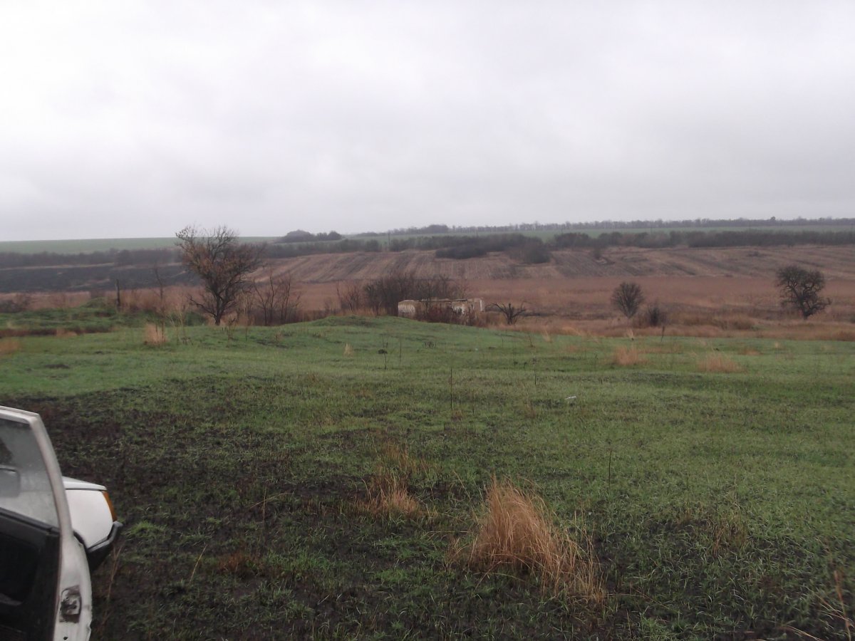 DSCF5564.JPG