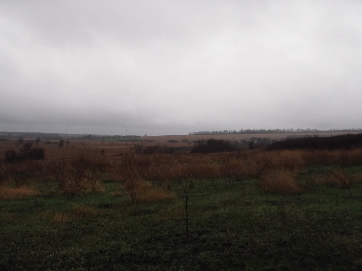 DSCF5565.JPG