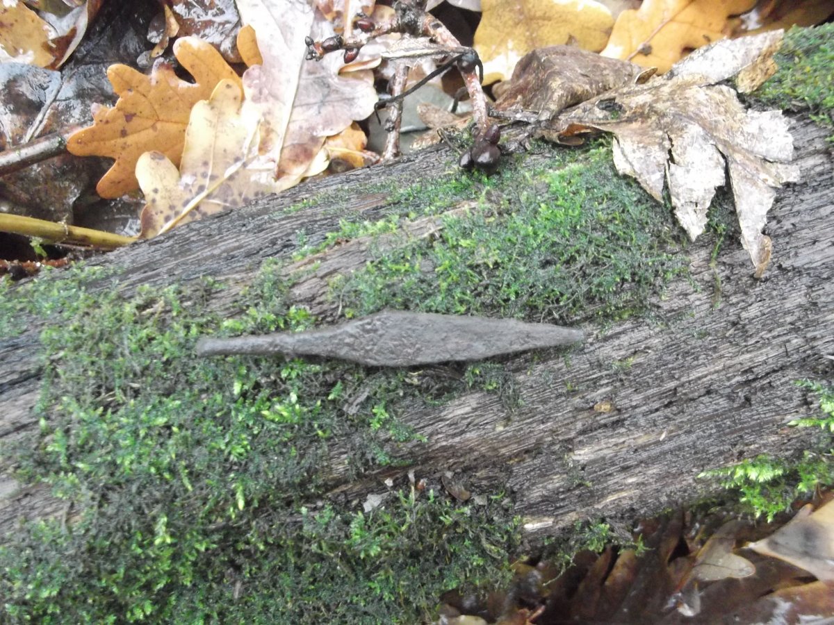 DSCF5575.JPG