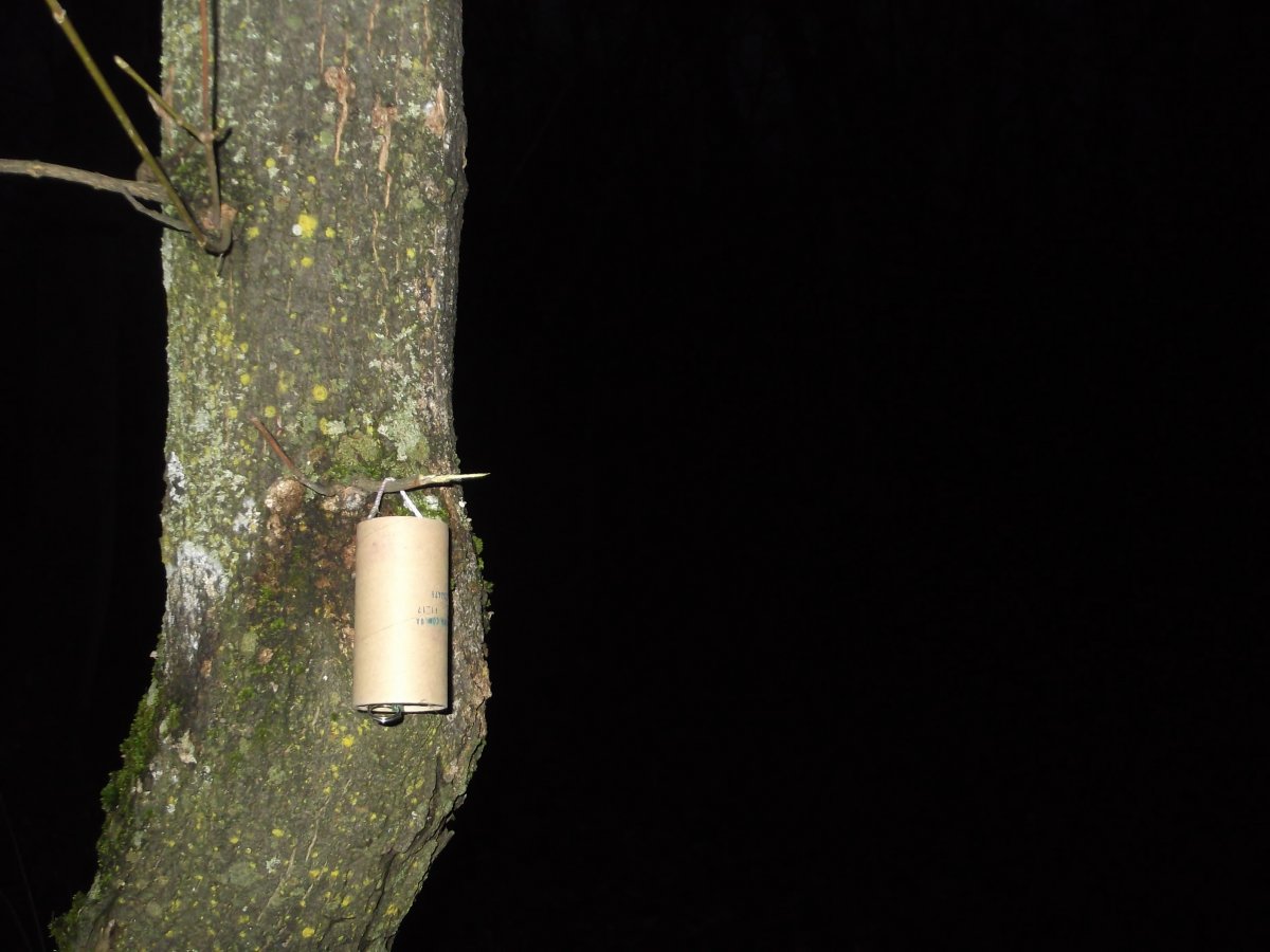 DSCF5763.JPG