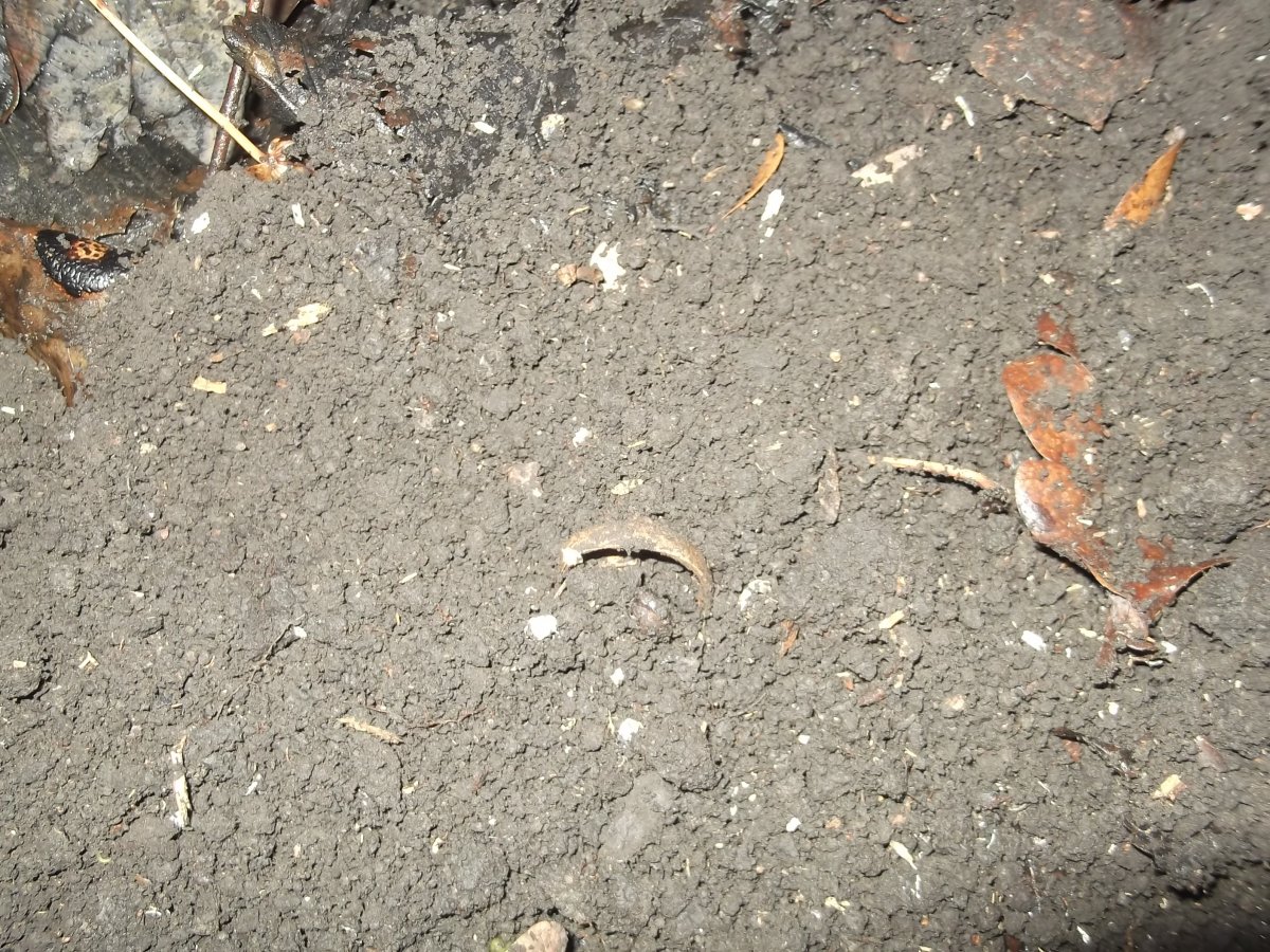 DSCF5770.JPG