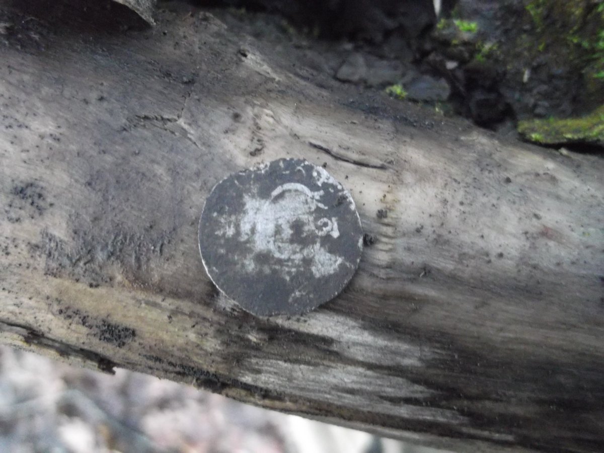 DSCF5832.JPG
