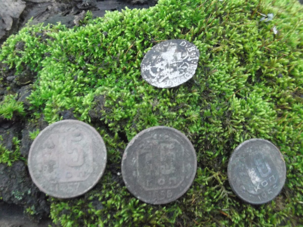 DSCF5833.JPG