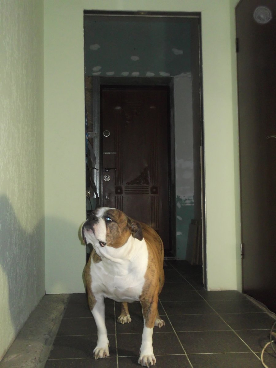 DSCF5877.JPG