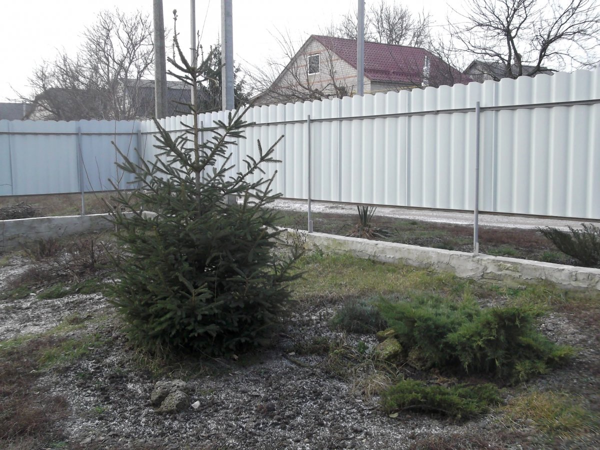 DSCF5891.JPG