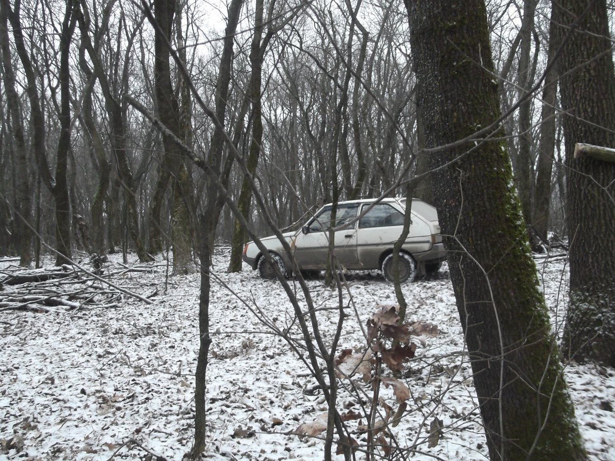 DSCF5893.JPG