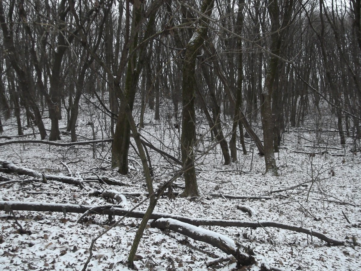 DSCF5914.JPG
