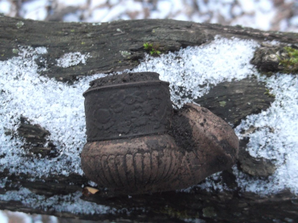DSCF5931.JPG