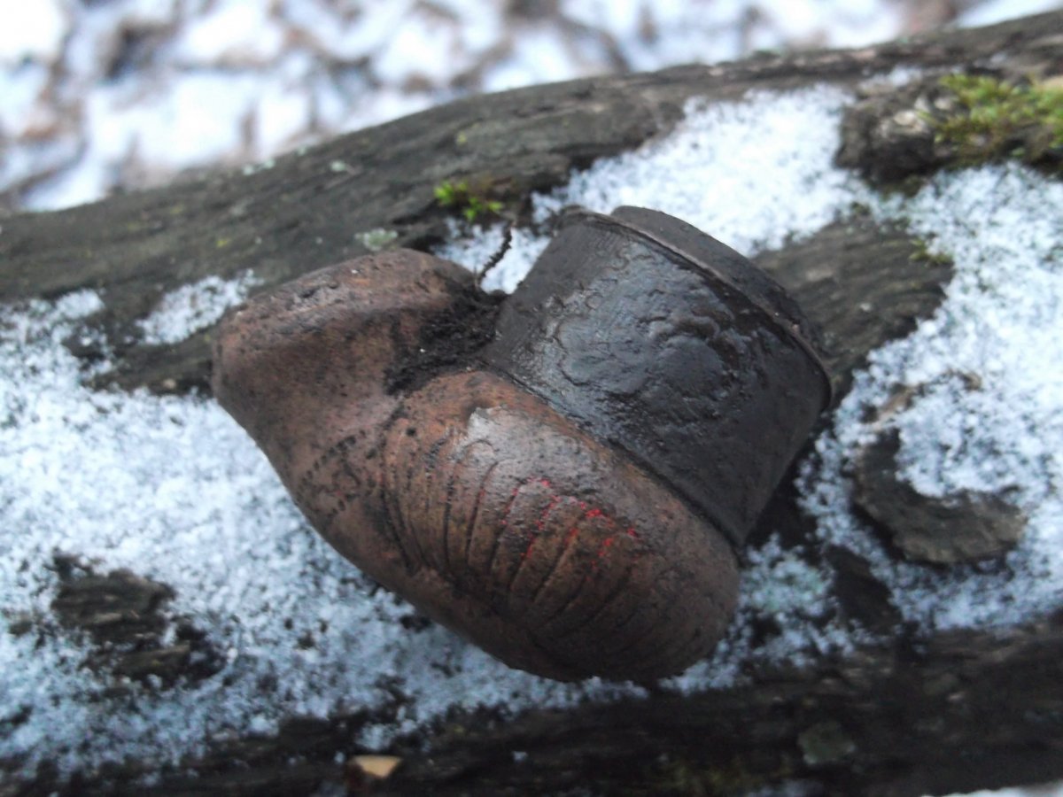 DSCF5932.JPG