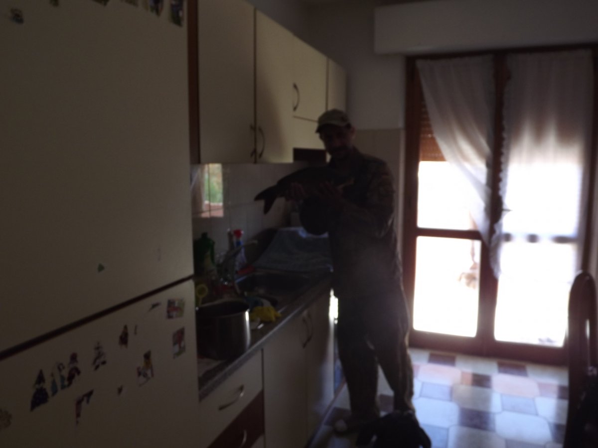 DSCF6142.JPG