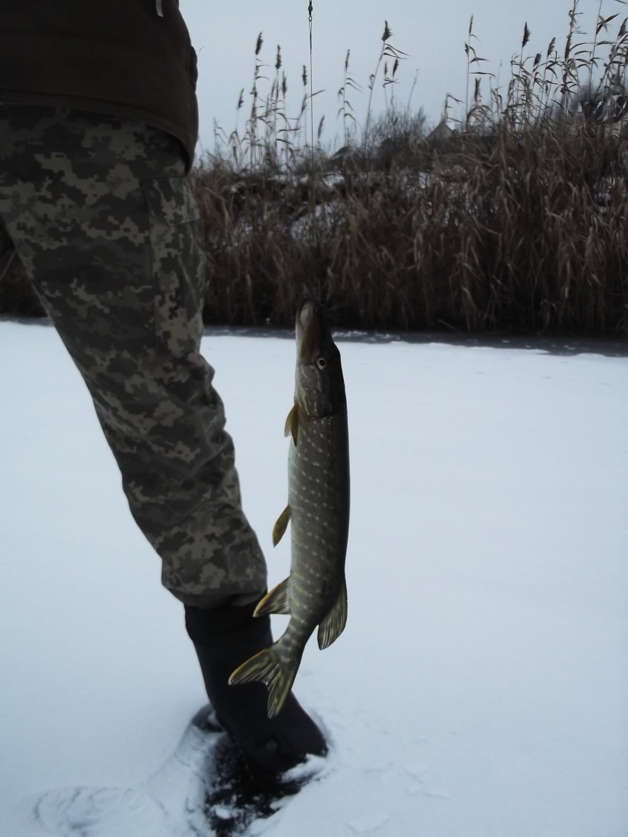 DSCF6225.JPG