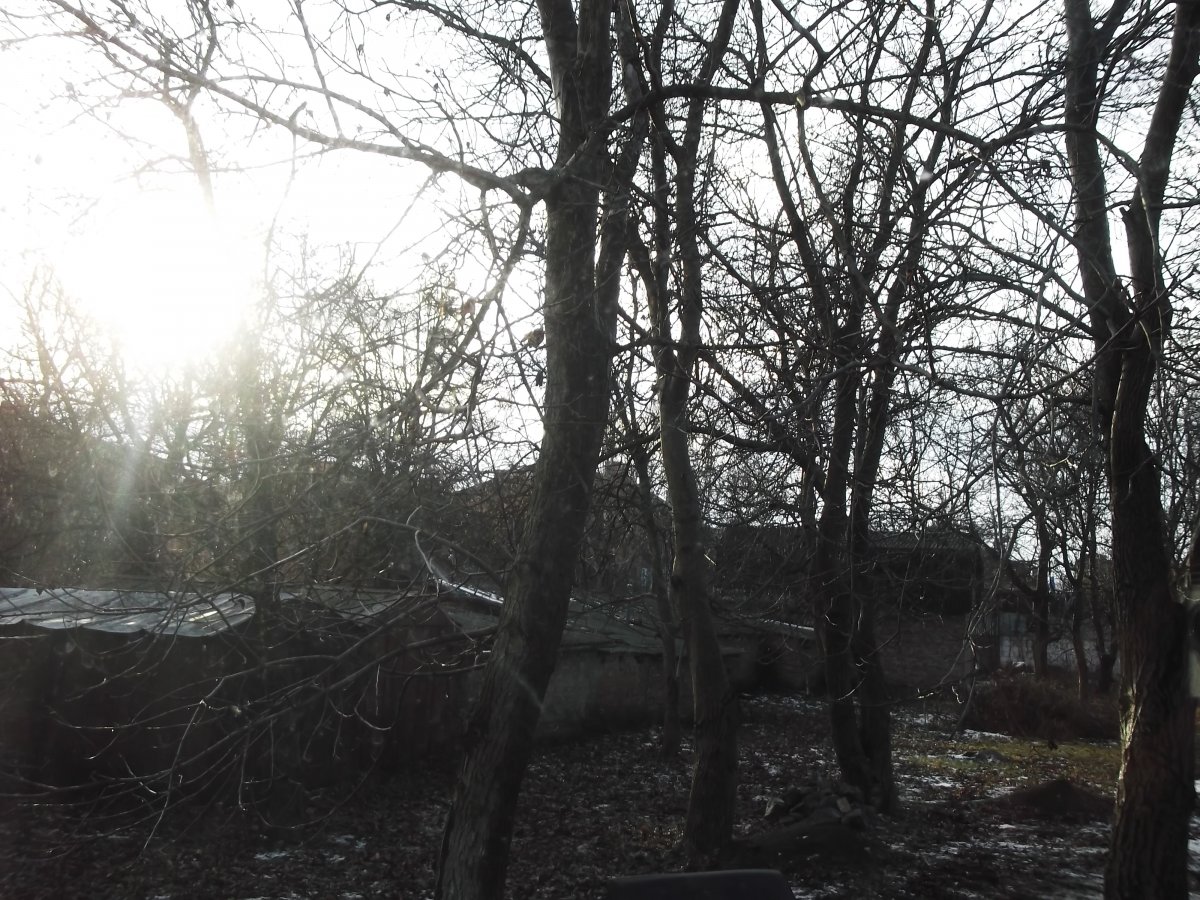 DSCF7286.JPG
