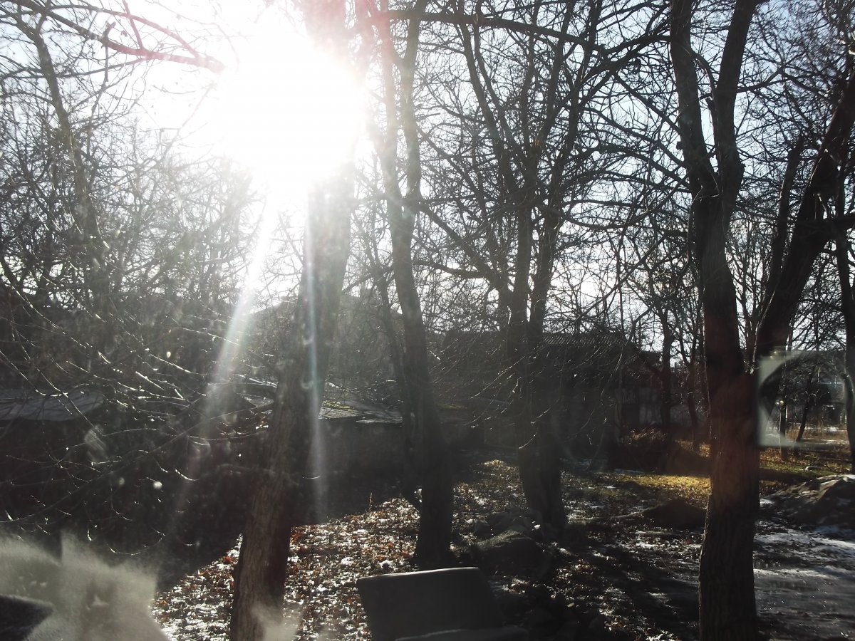 DSCF7287.JPG