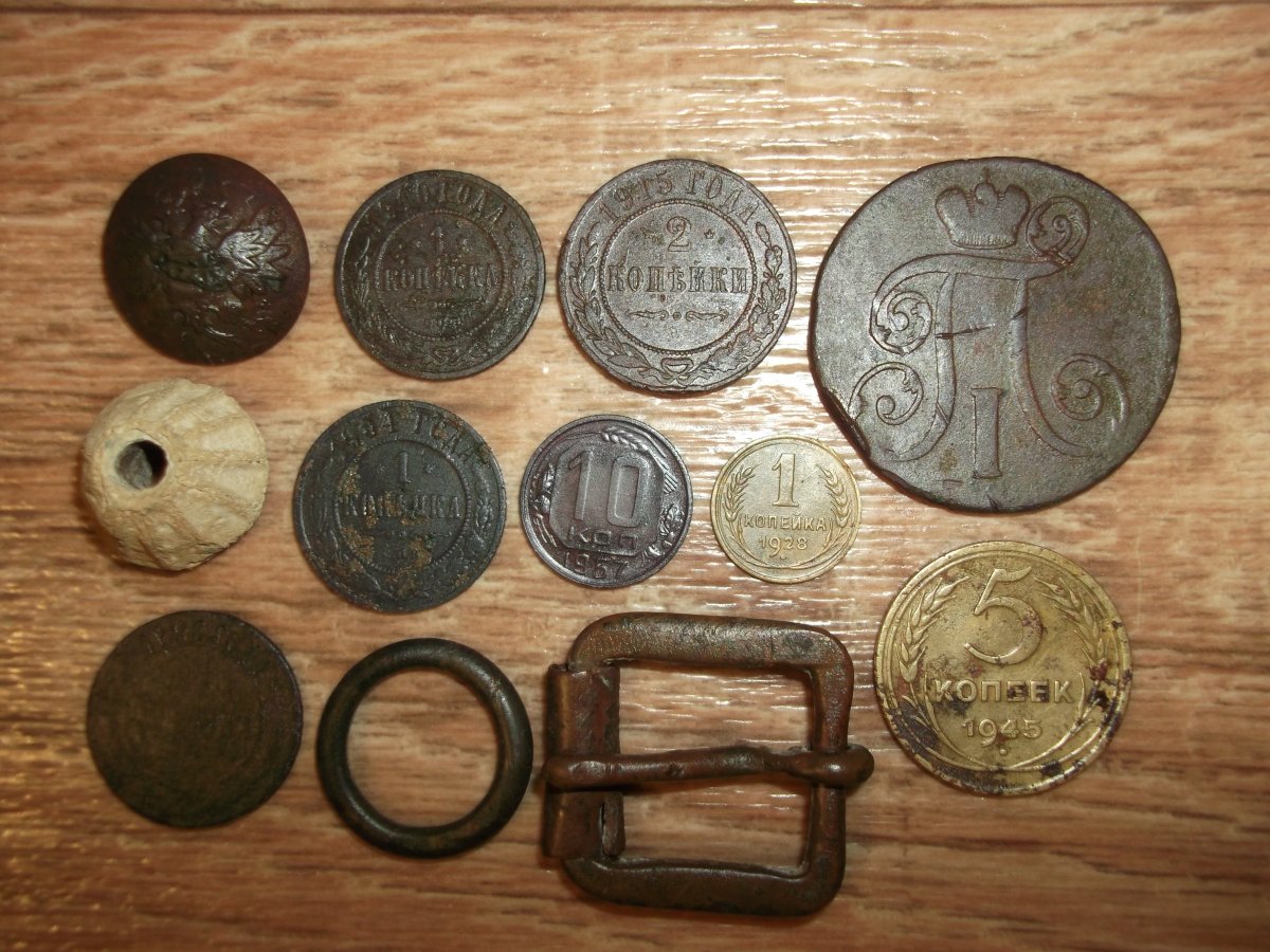 DSCF8131.JPG