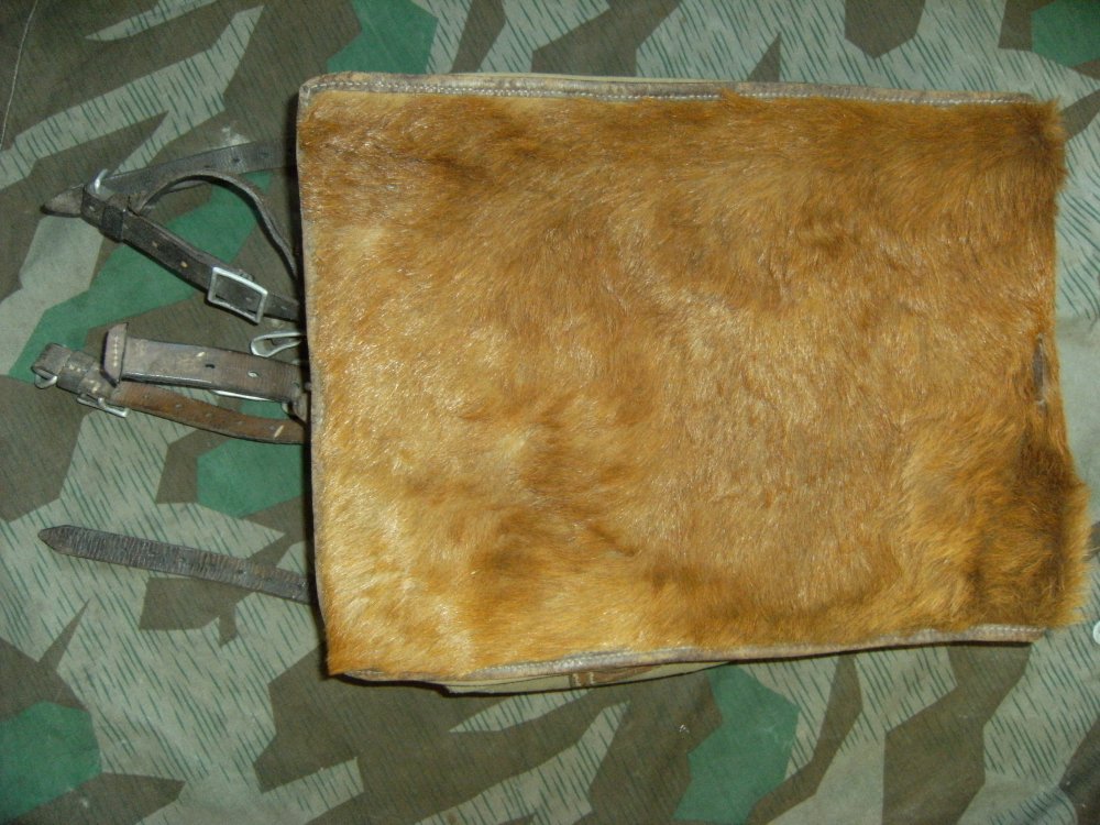 DSCF8333.JPG