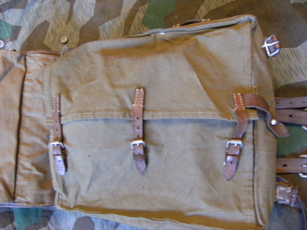 DSCF8338.JPG